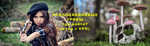 ПСИЛОЦИБИНОВЫЕ ГРИБЫ Балахна