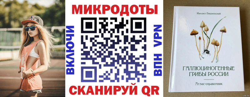 Галлюциногенные грибы Psilocybe  Краснокамск 